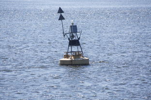 九游官网入口注册-中方蝶泳入水角度更锐利？图解数据分析，中国蝶泳厉害吗